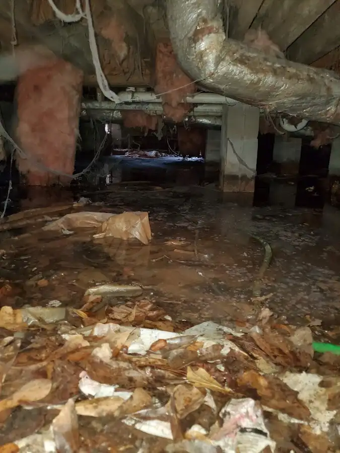Crawl space flood assessment for Commercial Water Damage Restoration in King